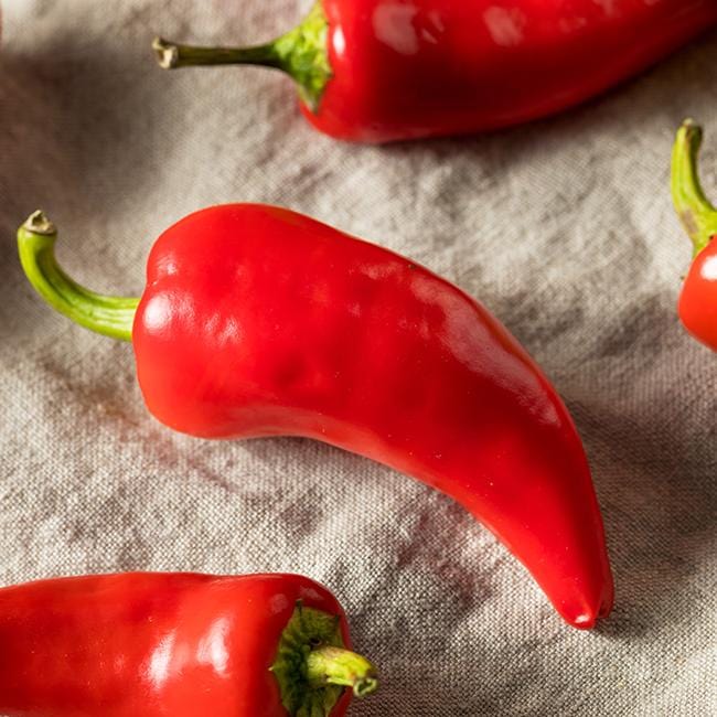 Fresno pepper seeds for planting and growing colorful chili peppers in a home vegetable garden.