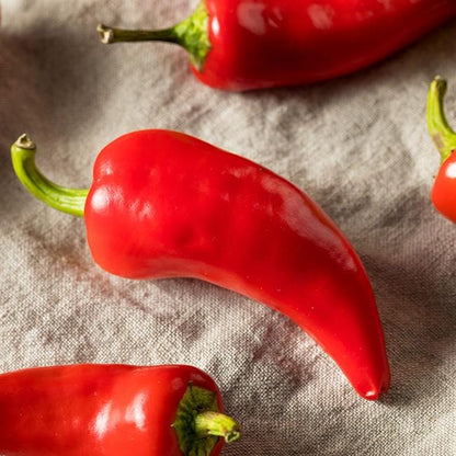 Fresno pepper seeds for planting and growing colorful chili peppers in a home vegetable garden.