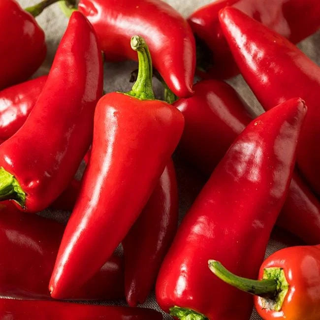 Fresno pepper seeds for planting and growing colorful chili peppers in a home vegetable garden.