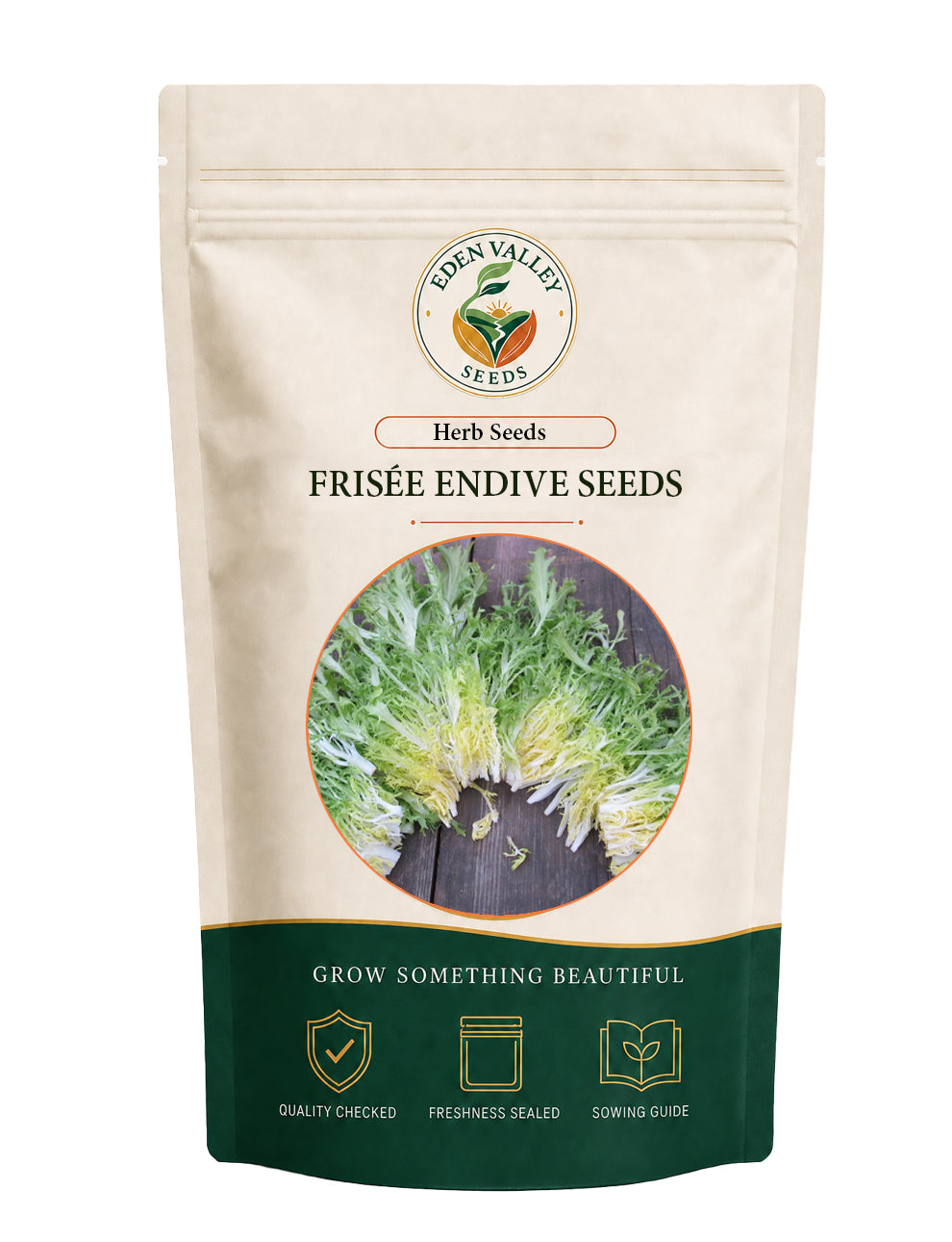 Frisée Endive Seeds for growing fresh leafy greens in home gardens