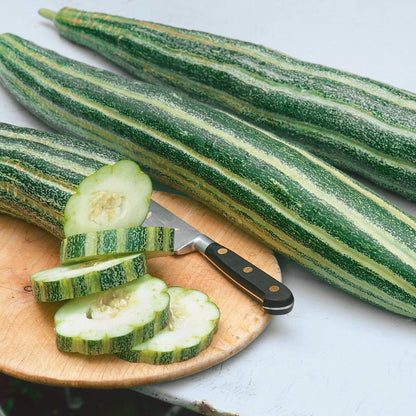 Striped Armenian Cucumber Vegetable Seeds for Planting – Heirloom Non-GMO Garden Seeds