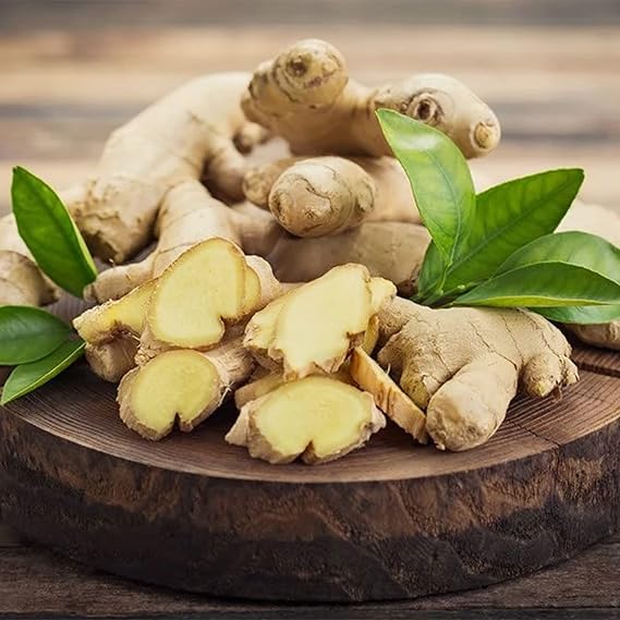 Ginger Herb Seeds for Planting – Heirloom Non-GMO Garden Seeds