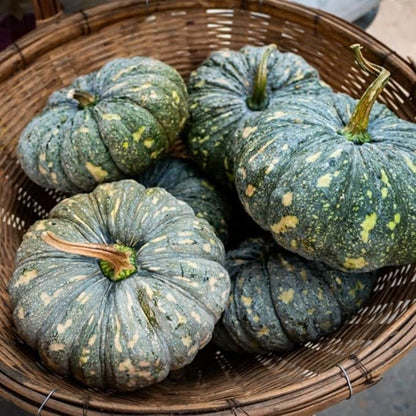 Rican Pumpkin Vegetable Seeds for Planting – Heirloom Non-GMO Garden Seeds