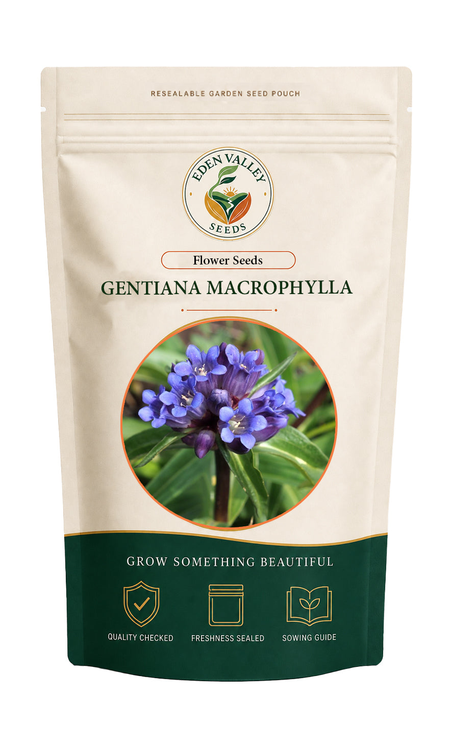 Gentiana Macrophylla Flower Seeds for home gardens