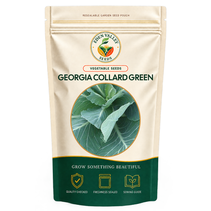 Georgia Collard Greens Seeds for planting