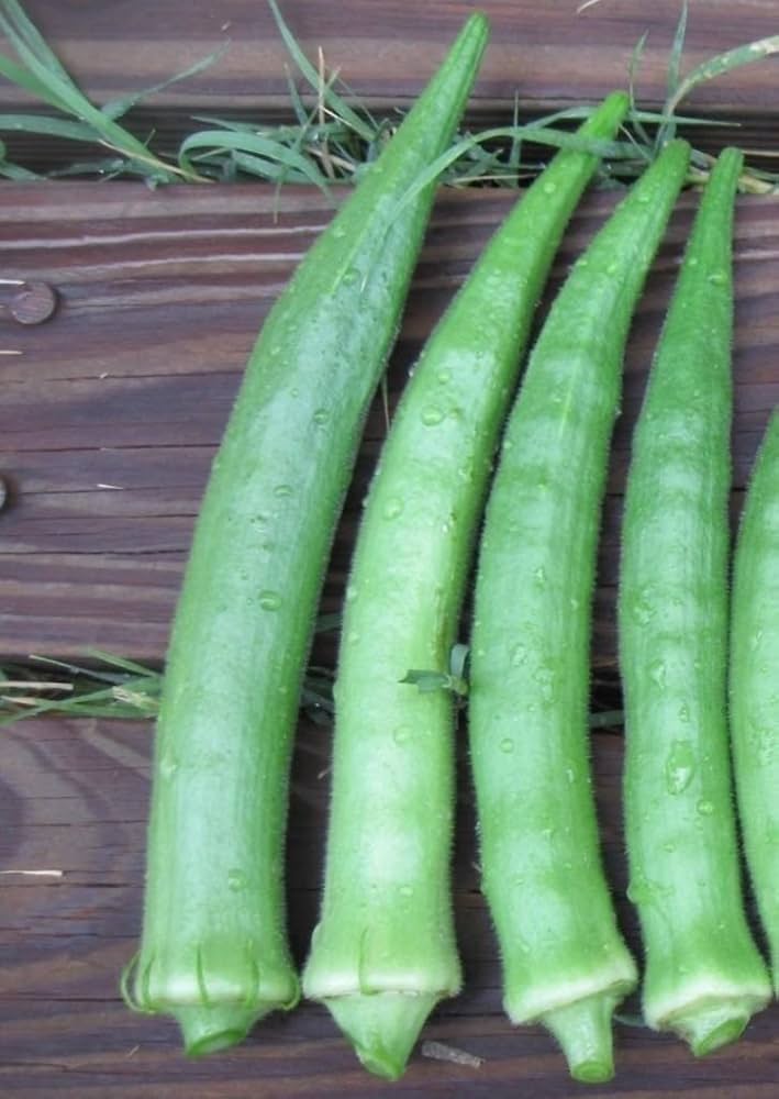 Giant Okra Seeds