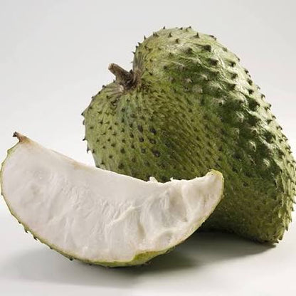 Giant soursop fruit seeds for planting – heirloom tropical garden variety