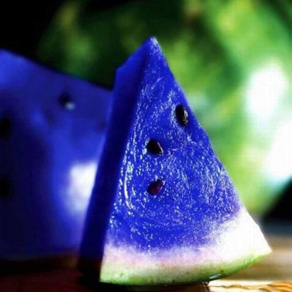 Multicolor watermelon seeds