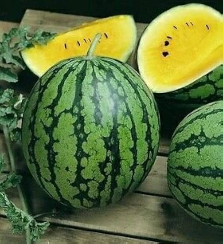 Giant watermelon seeds