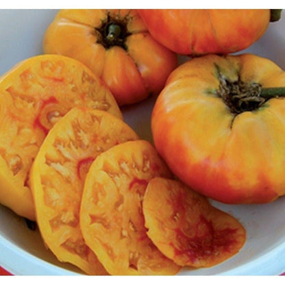 Gold Medal Yellow Tomato Seeds