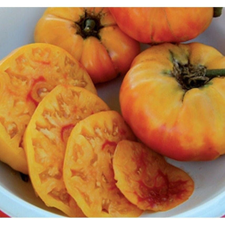 Gold Medal Yellow Tomato Seeds