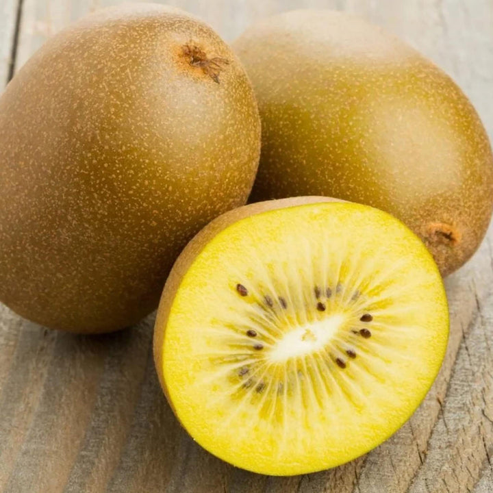 golden kiwi seeds