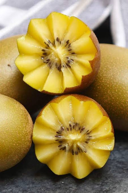 Golden Kiwi Fruit Seeds – Actinidia chinensis seeds for growing a fruiting kiwi vine