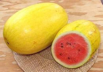 Golden Pioneer Hybrid Watermelon Seeds for Planting – Premium Hybrid Garden Seeds