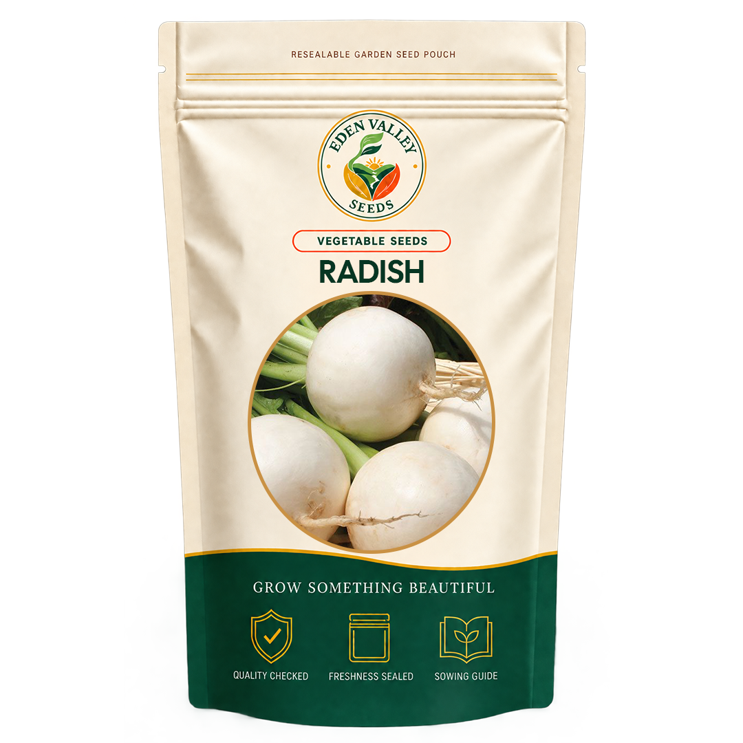Gray Radish Seeds for planting