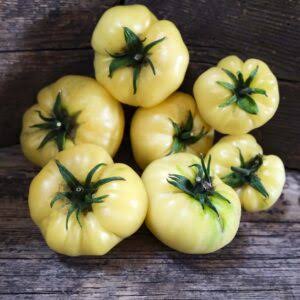 Great White Tomato Seeds for Planting producing large creamy-white heirloom beefsteak tomatoes with juicy flesh in home vegetable gardens