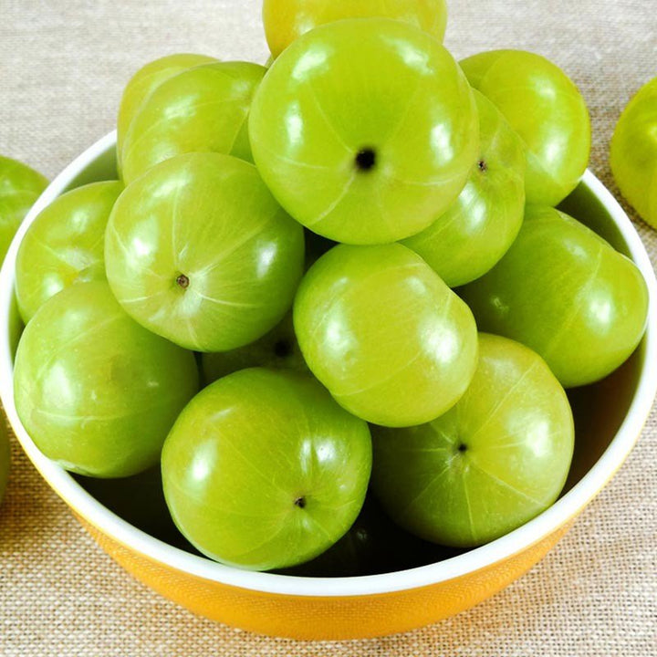 Green Amla Fruit Seeds for Planting for Growing Indian Gooseberry Trees