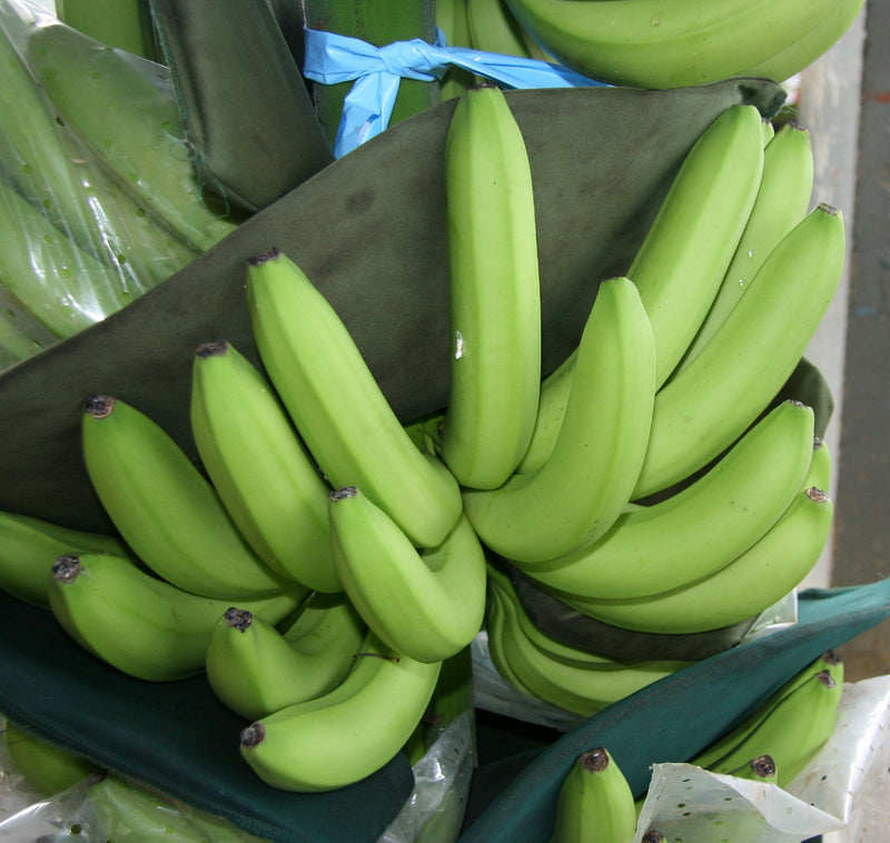  Green Banana Paw Fruit Seeds for Planting for Growing a Unique Fruiting Plant