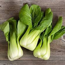 Heirloom Bok Choy Growing in Raised Garden Bed