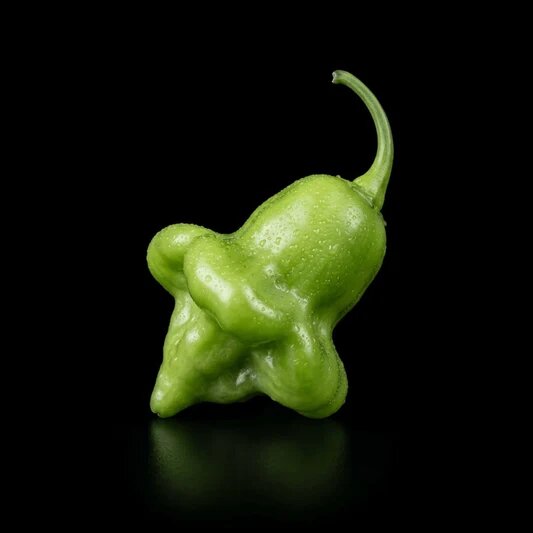 Green Capsicum Baccatum Pepper Seeds for Planting – Garden Pepper Variety