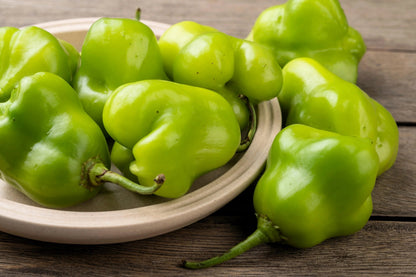 Green Capsicum Baccatum Pepper Seeds for Planting – Garden Pepper Variety