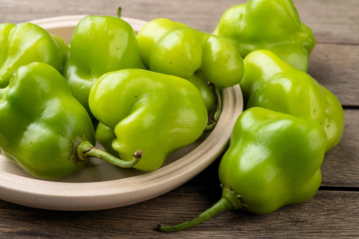 Green Capsicum Baccatum Pepper Seeds for Planting – Garden Pepper Variety