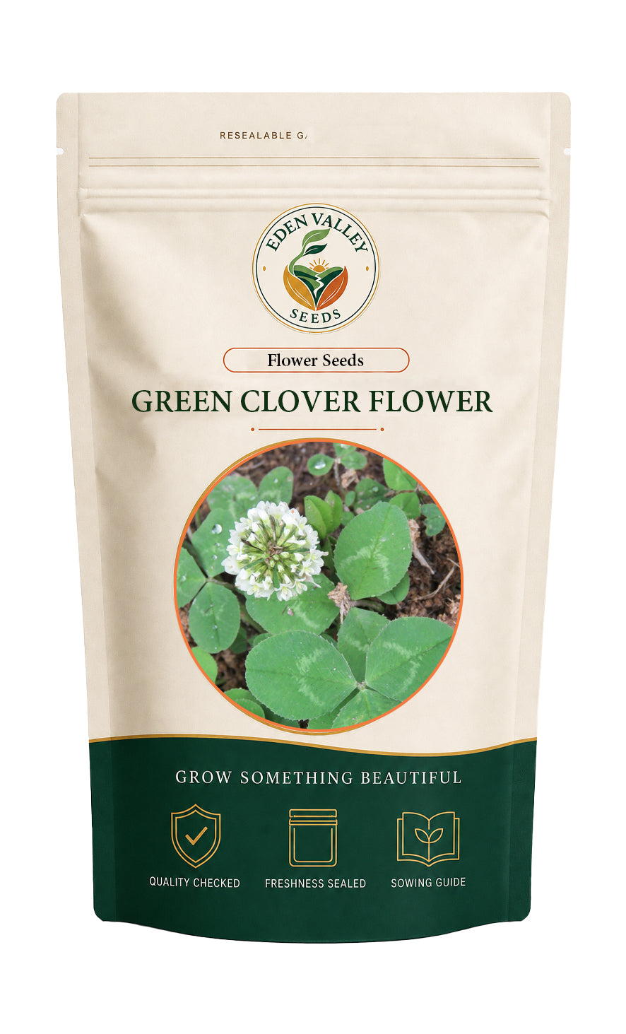 Green Clover Flower for home gardens