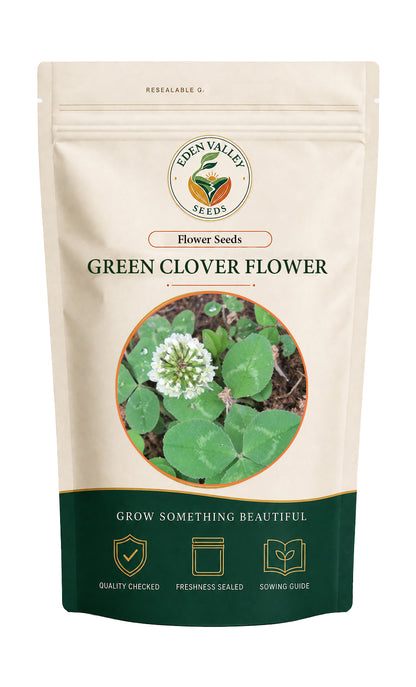 Green Clover Flower for home gardens