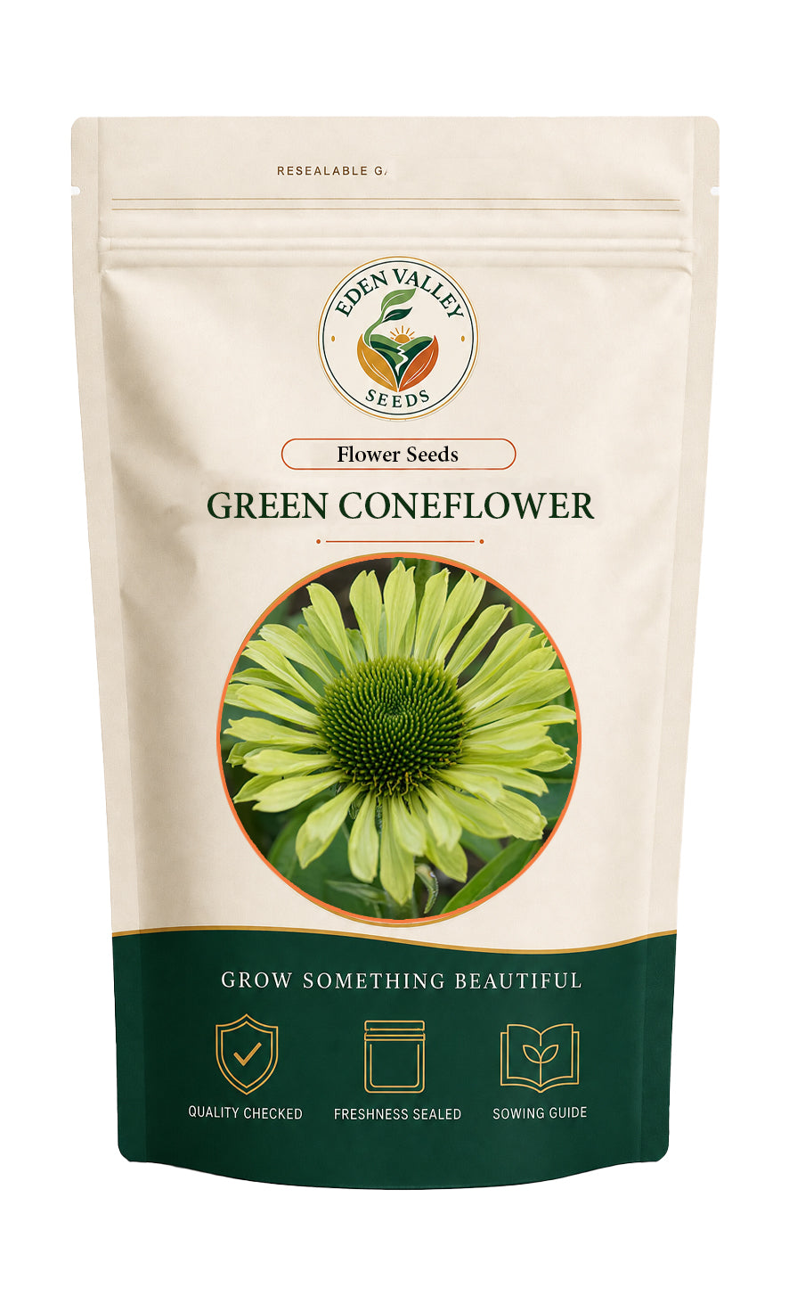 Green Coneflower Flower for home gardens