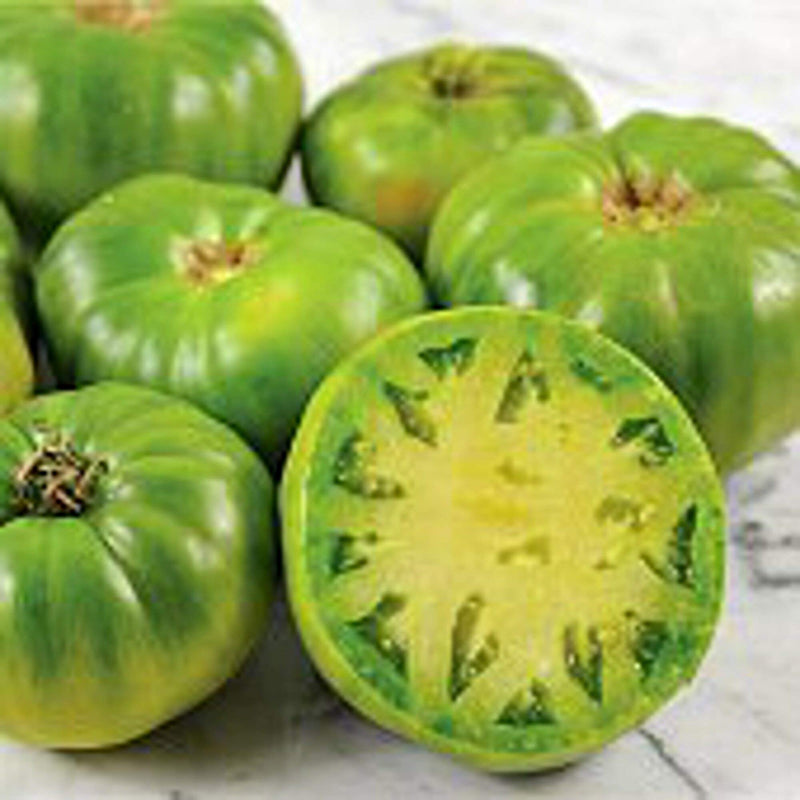 Green Giant Tomato Seeds for Planting – Heirloom Non-GMO Garden Seeds