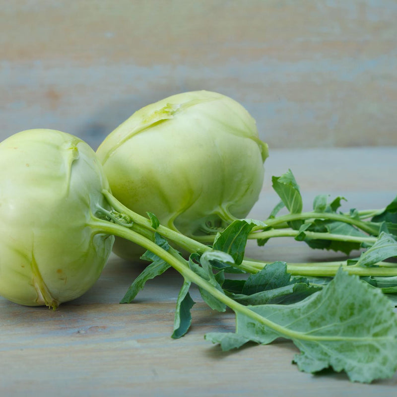 Kohlrabi Seeds for Planting – Heirloom Non-GMO Garden Seeds