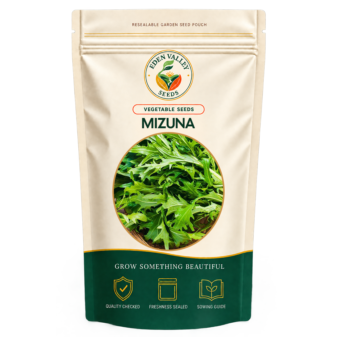 Green Mizuna Seeds for planting