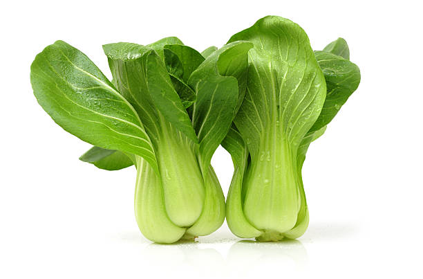 Green Pak Choi vegetable plants with crisp green leaves and tender pale stems