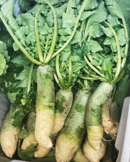 Green Radish Seeds
