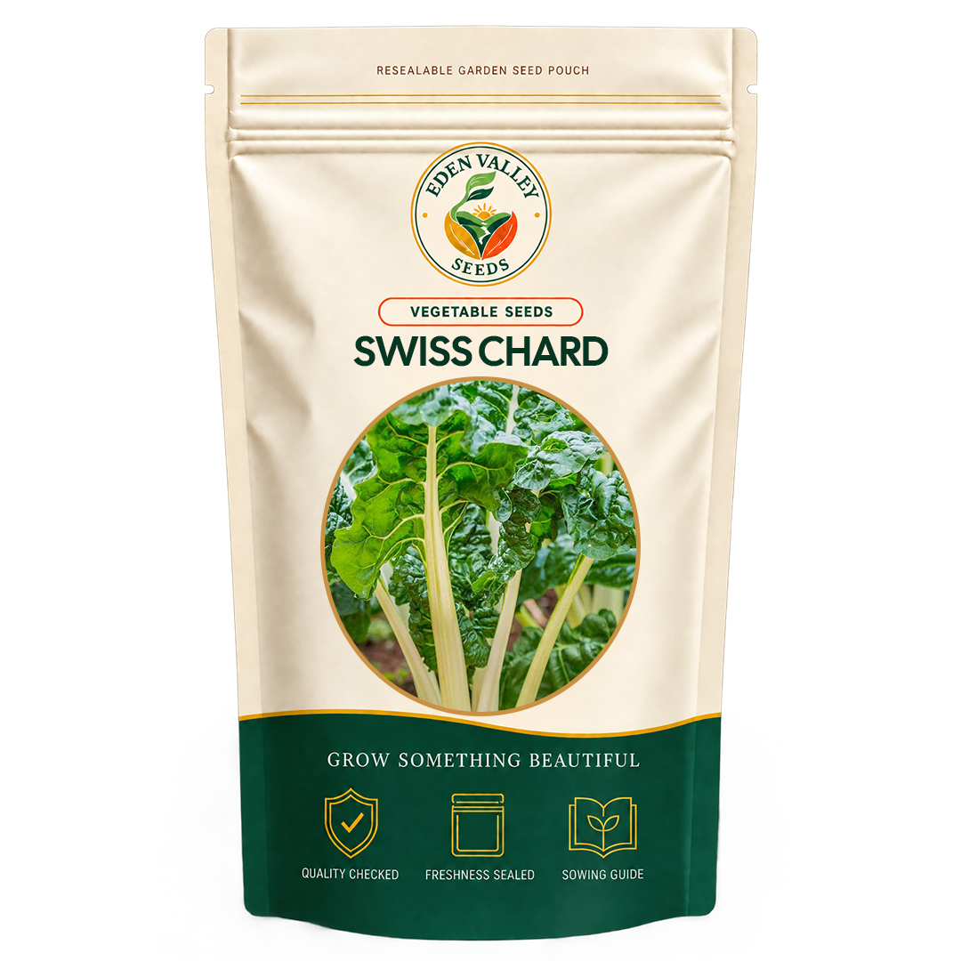 Green Swiss Chard Seeds for planting