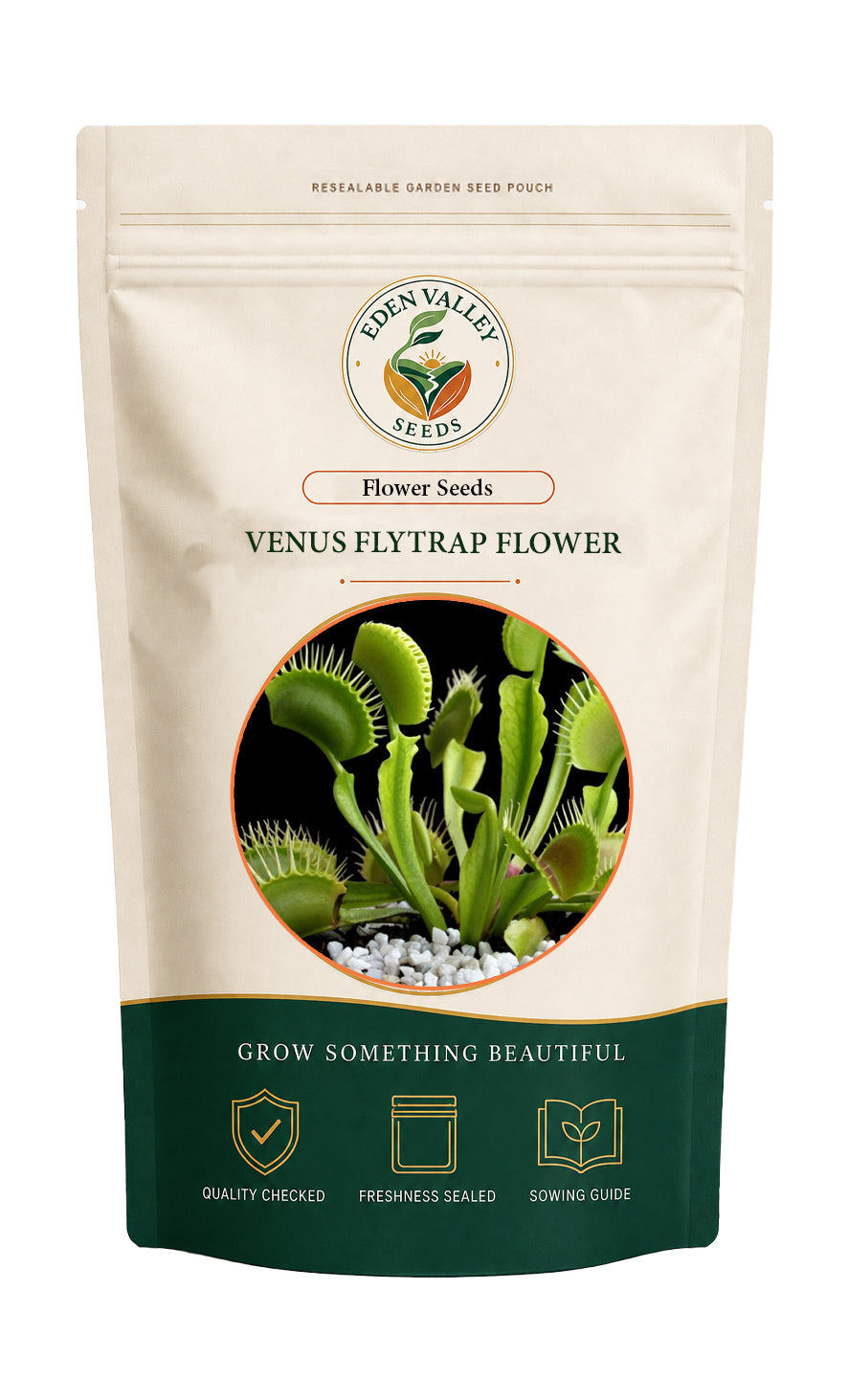 Green Venus Fly Trap Flower Seeds for planting