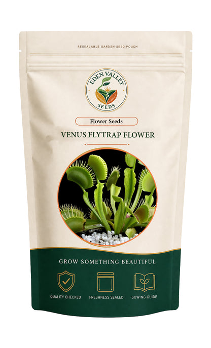 Green Venus Fly Trap Flower Seeds for planting