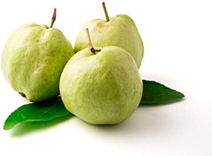 Guava Psidium guajava Fruit Seeds for Planting – Heirloom Non-GMO Garden Seeds