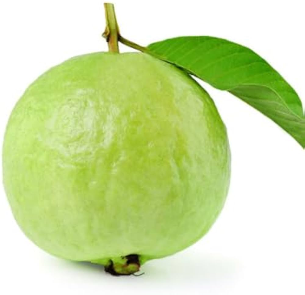 guava seeds