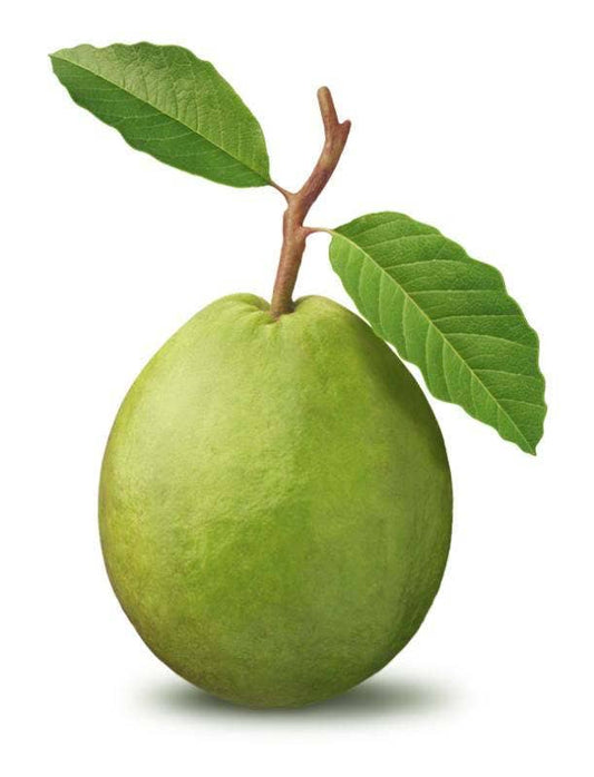 guava fruit seeds