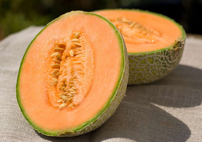 Hale's Best Jumbo Cantaloupe Fruit Seeds for Planting – Heirloom Non-GMO Garden Seeds