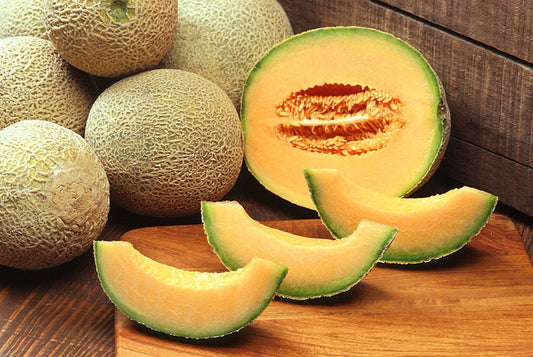hales best cantaloupe seeds