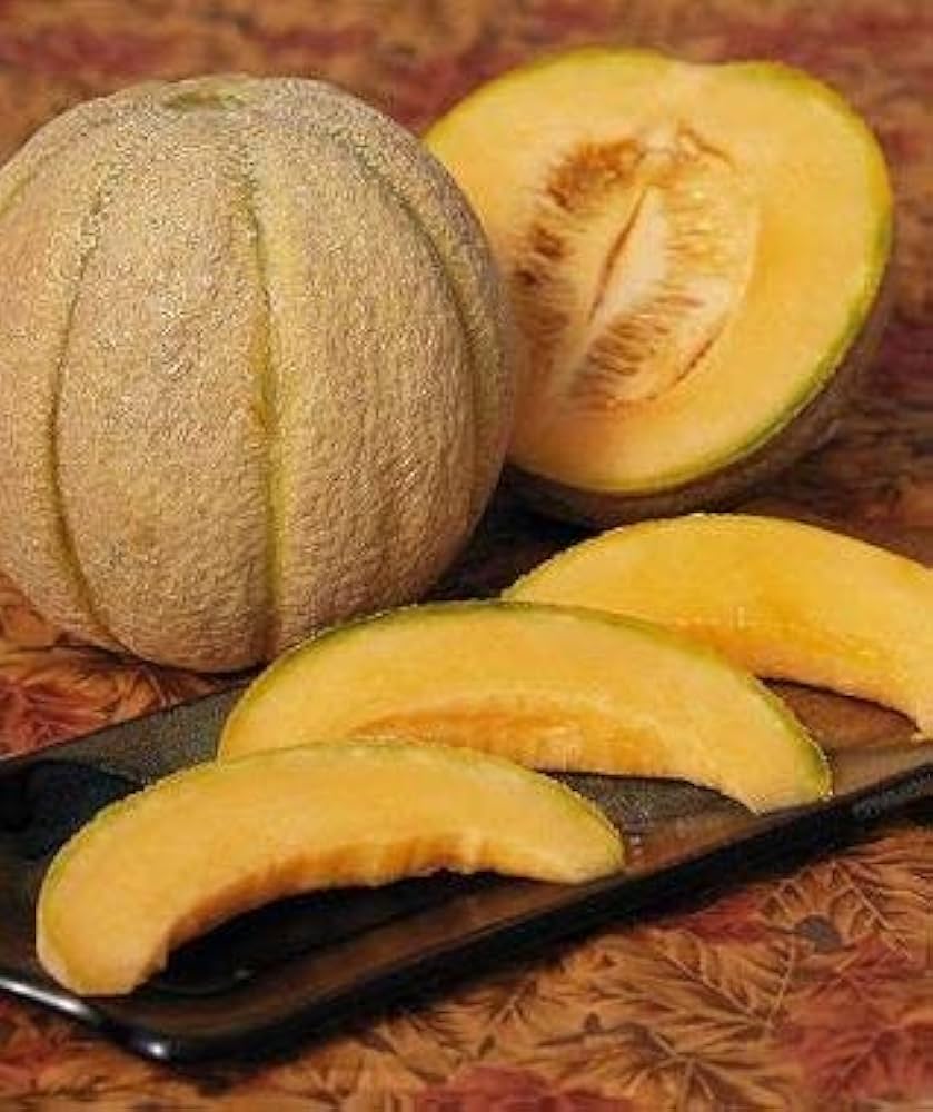 Halona Hybrid Melon Seeds