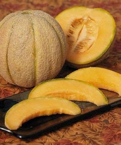 Halona Hybrid Melon Seeds