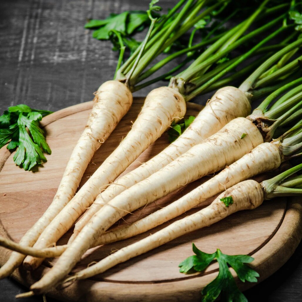 Hamburg Root Parsley Herb Seeds for Planting with White Edible Roots and Green Foliage