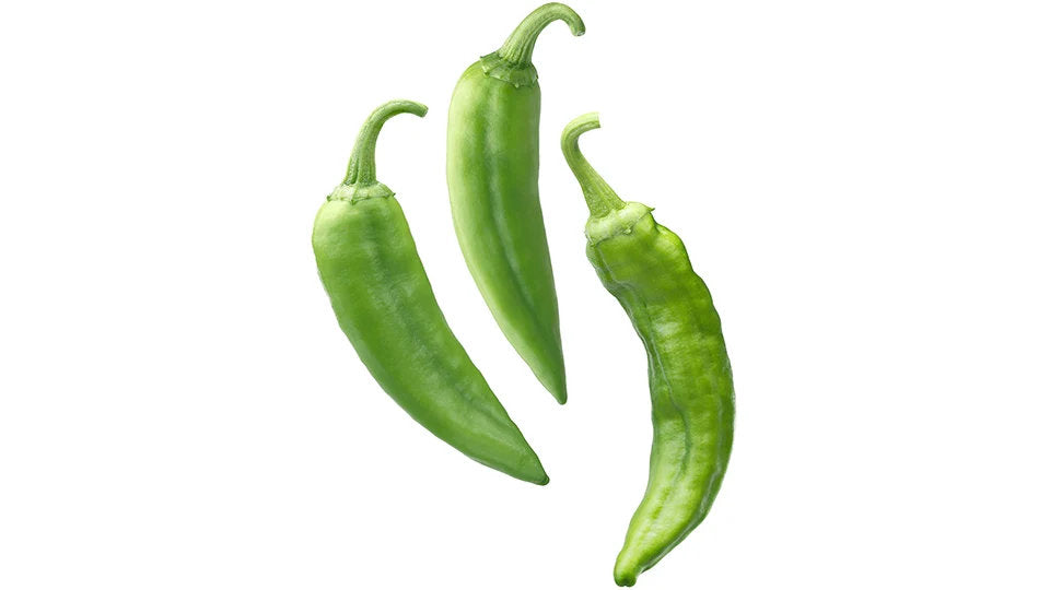 Hatch pepper seeds for planting, featuring New Mexico-style chile peppers growing on healthy green plants in a sunny vegetable garden.