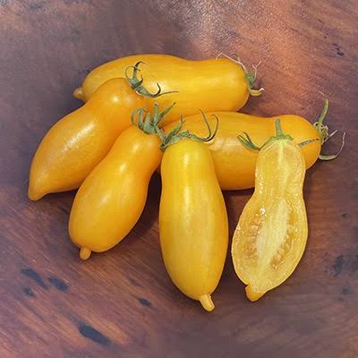 Banana Legs Yellow Tomato Seeds for Planting producing golden-yellow, elongated banana-shaped tomatoes in home vegetable gardens