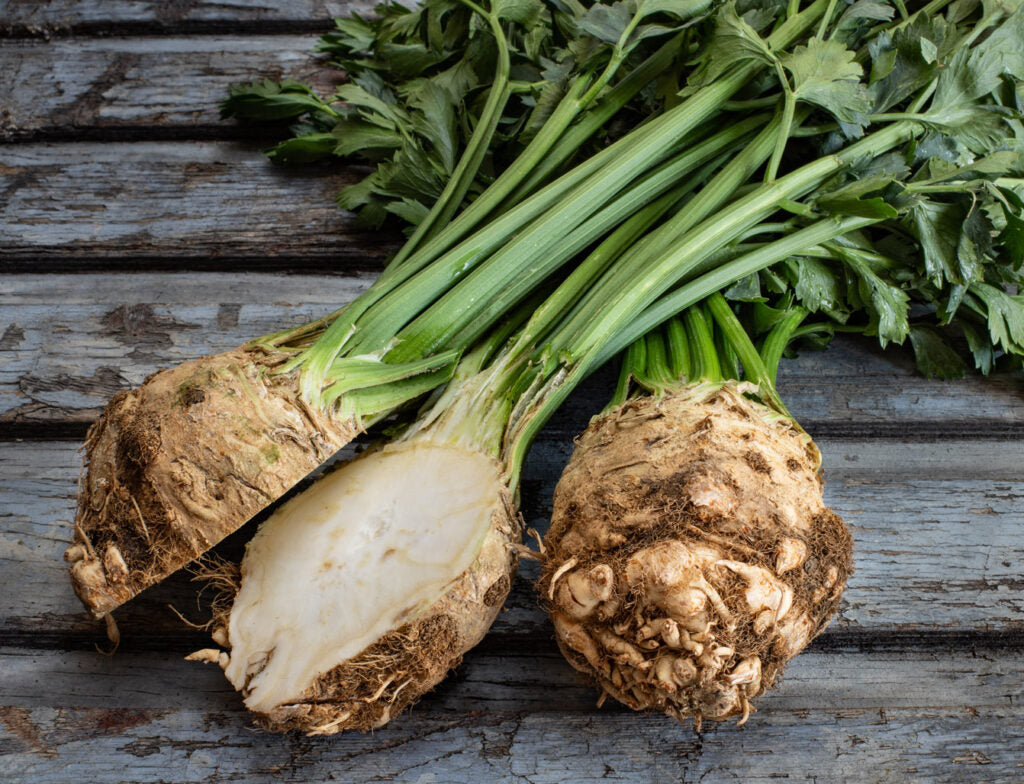 Celeriac Seeds for planting with mature celery root vegetables growing in a home garden
