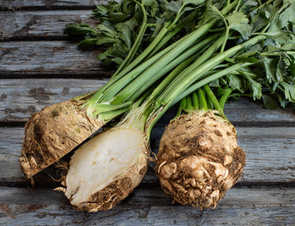 Celeriac Seeds for planting with mature celery root vegetables growing in a home garden