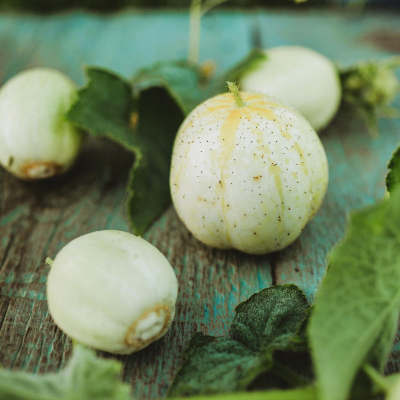 Lemon Cucumber Seeds for Planting – Heirloom Non-GMO Garden Seeds